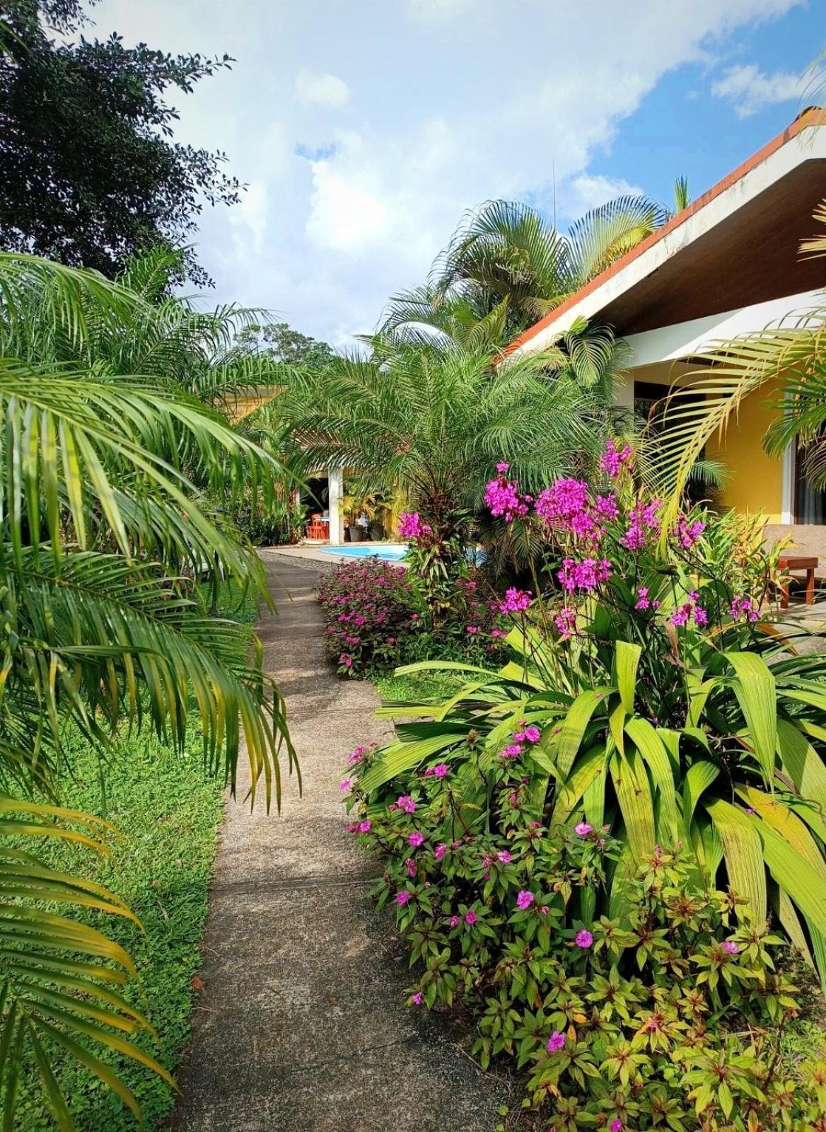 Arenal Villas Tranquilas, Free-Standing Equipped Houses Nuevo Arenal Ngoại thất bức ảnh